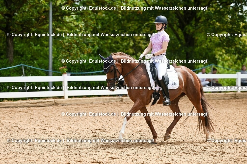 20230716_03_Dressurprfg. Kl.L - Tr._0239 | equistock