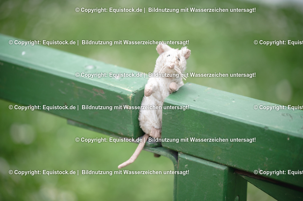 20240518_Impressionen_0066 | Foto: Thomas Hartig