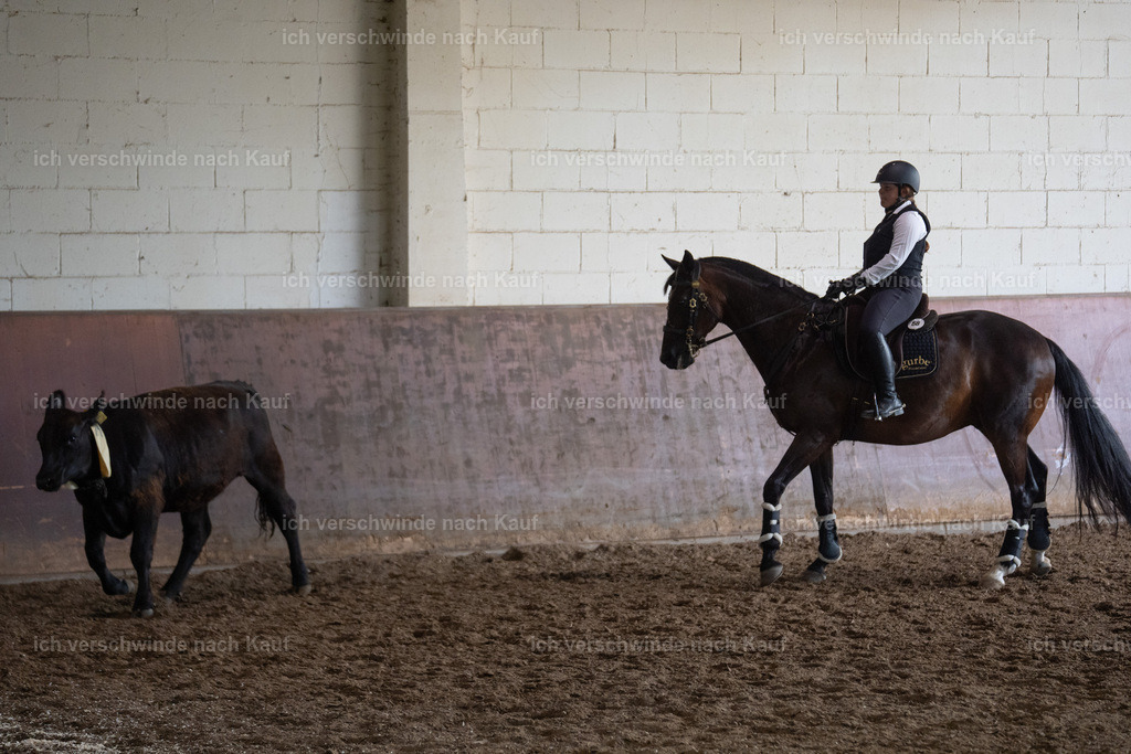 WL_COW_58_SinaFilmArt_IN03851 | working equitationturnier fotograf videograf stoibphotography marixx film working equitation deutschland reitsport turnierfotografie eventfotografie equestrian events