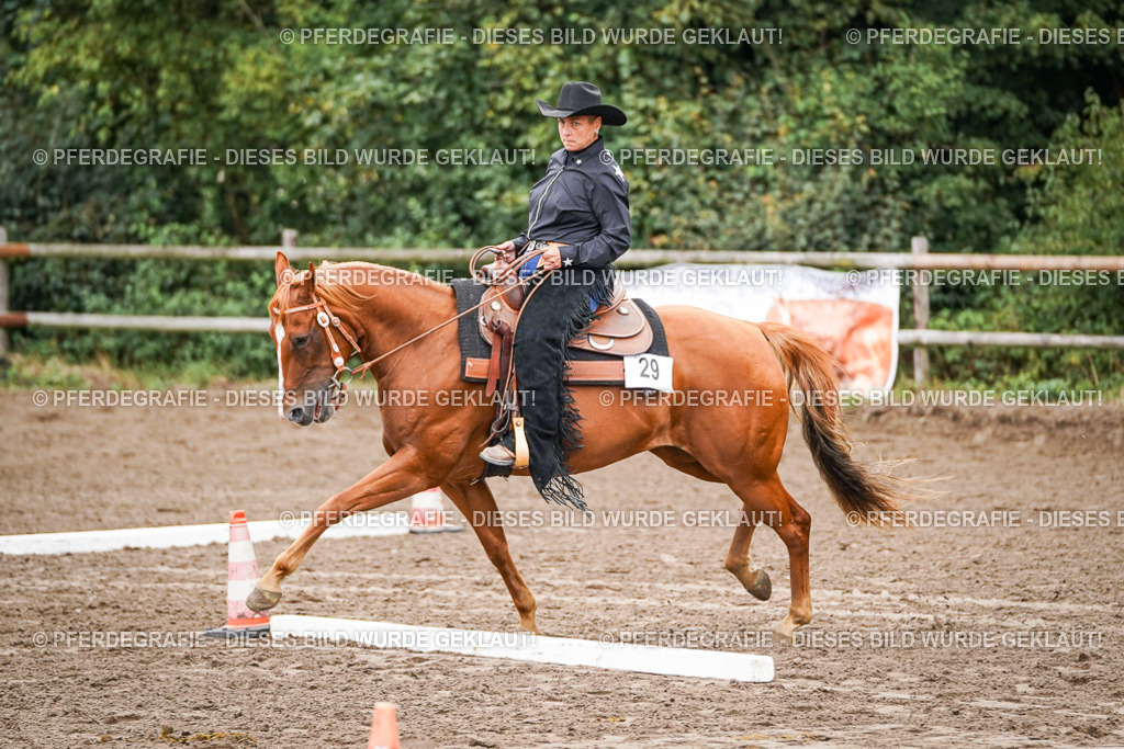 DSC03249 | Pferdegrafie