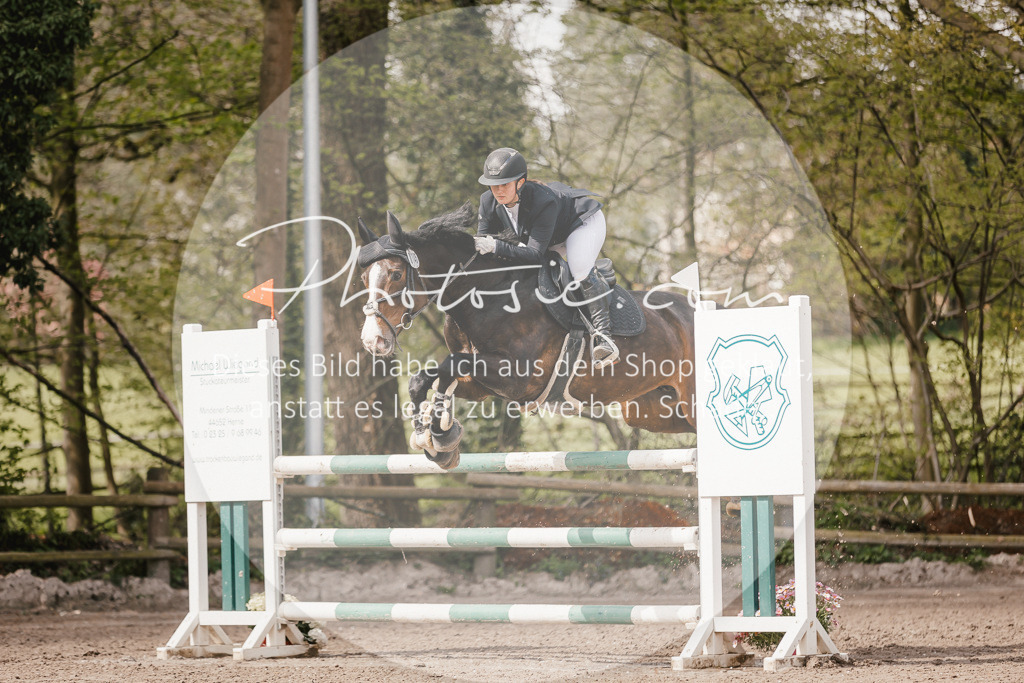 3I6A4365 | Stimmungsvolle Portraits und Reitsportfotografie im Ruhrgebiet und im Münsterland.

Pferdefotografie, Hundefotografie, Tierfotografie, Reportagen, Portraits von Tier und Mensch, Turnierfotografie in Bochum, Recklinghausen, Marl, Haltern am See, Dülmen.. - Realisiert mit Pictrs.com