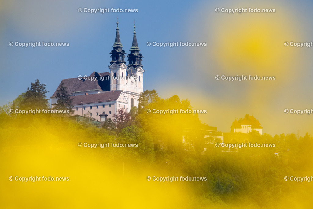 Poestlingbergkirche_ Wallfahrtsbasilika_ 05.05.2025-4 | 05.05.2025, LINZ, AUT, Themenbild, im Bild Pöstlingberg, Poestlingberg, Kirche, Berg, Fruehling, Himmel, Turm, Tuerme, Ausflugsziel, Poestlingbergkirche, Wallfahrtsbasilika, Wahrzeichen, Linz, Raps, Rapsfeld, Gelb, leuchtend, Pflanzen, Feature, Symbolbild