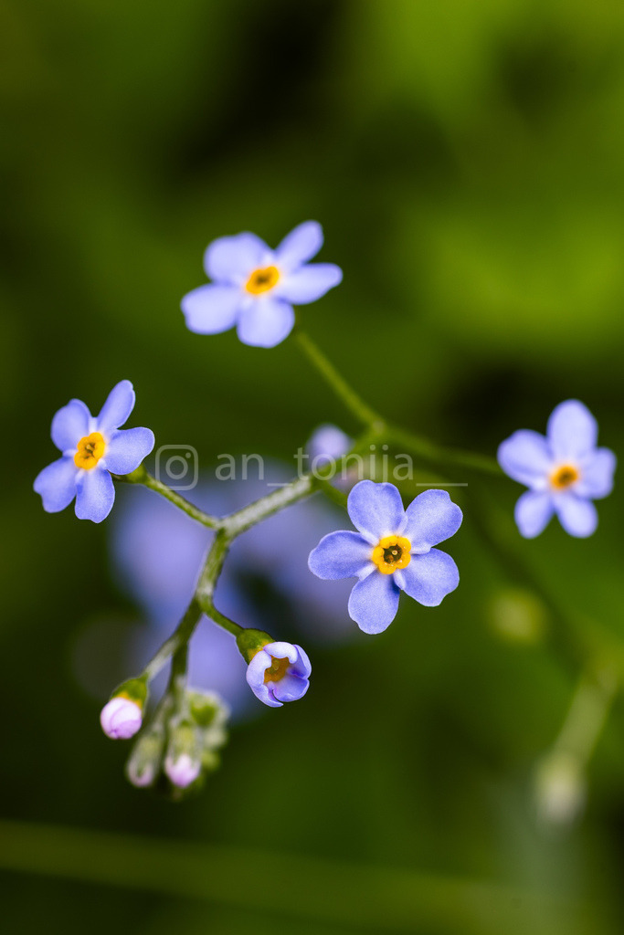 JB3A6555 | antonija-trupina - Realisiert mit Pictrs.com