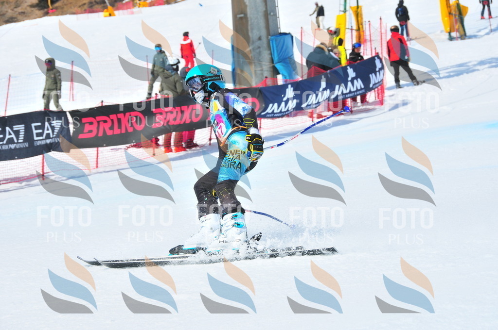 DSC_6948 | holidayphoto