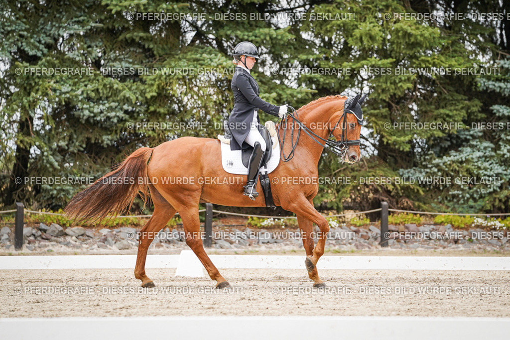 DSC05246 | Pferdegrafie