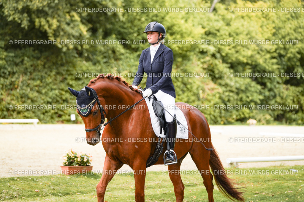 DSC02890 | Pferdegrafie