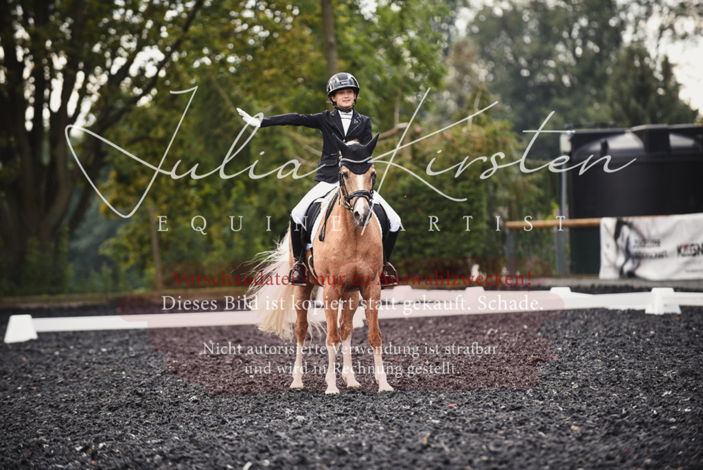 DSC_3850 | Pferde- und Turnierfotografie in Westsachsen. Pferdeportraits, Auftragszeichnungen und intuitive Kunst.