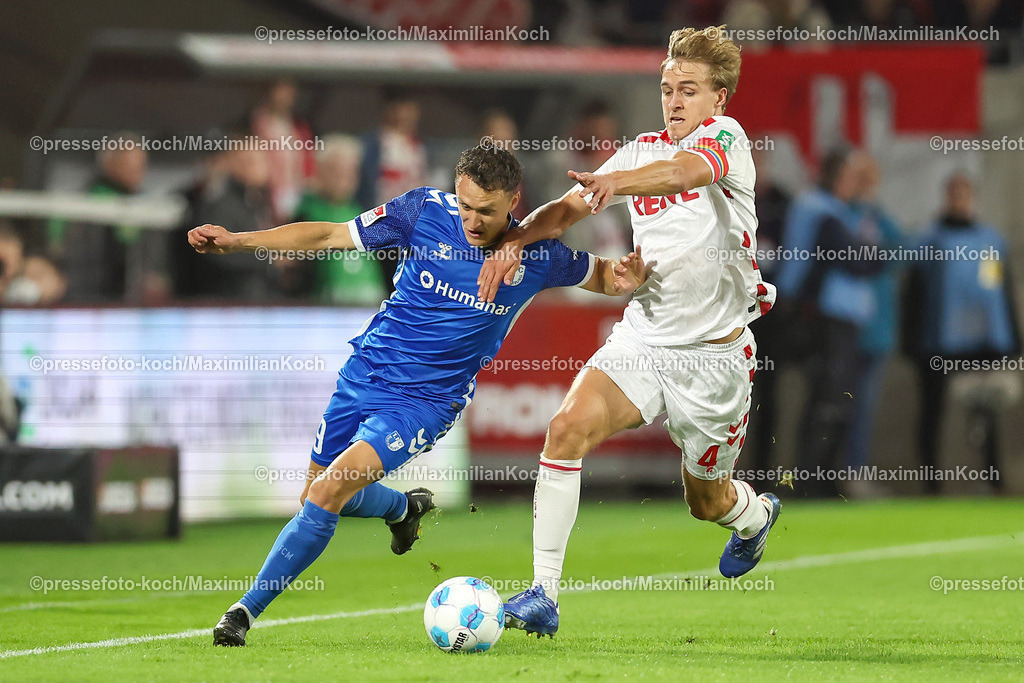 Koe14092401003 | 14.09.2024, 2. Fußball Bundesliga, 1. FC Köln - 1. FC Magdeburg, RheinEnergieSTADION, Saison 2024 2025: Zweikampf Martijn Kaars (1.FC Magdeburg #9) gegen Timo Hübers (1.FC Köln #4)DFB regulations prohibit any use of photographs as image sequences and or quasi-video.