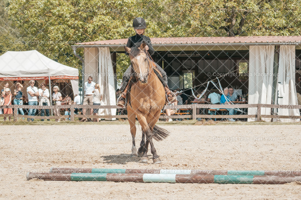 DSC02121 | ikphotography - Realisiert mit Pictrs.com