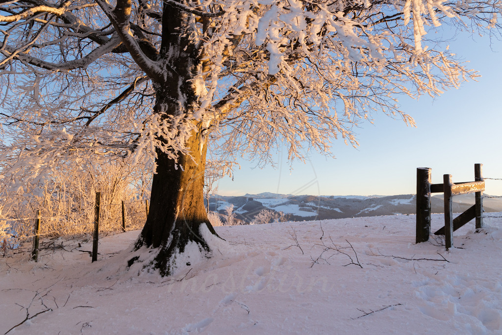 Winter am Hochkogelberg Rauhreif | Ihre Fotografin im Lungau, ihre Fotografin im Mostviertel, Wandbilder Onlineshop, Imagefotos für Ihr Unternehmen,  - Realisiert mit Pictrs.com