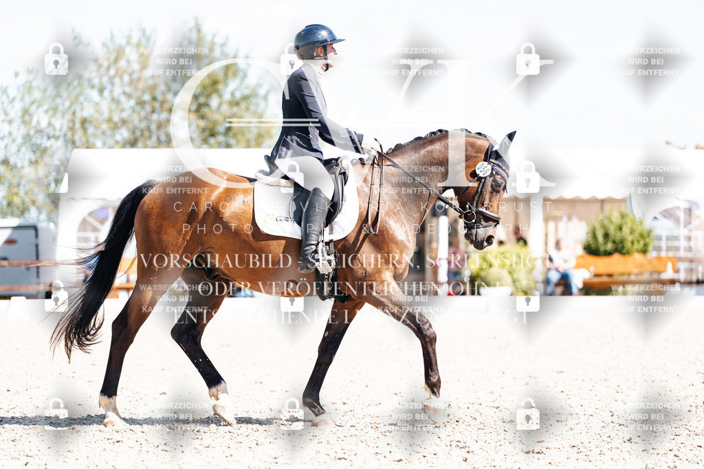 CK903916 | Turnierfotografie Pferdefotografie Trier Rheinland-Pfalz Pferdesport Reitsport Tierfotografie Sportfotografie Pferdevideo Pferdevideografie Equestrianvideography equestrianphotography  - Realisiert mit Pictrs.com