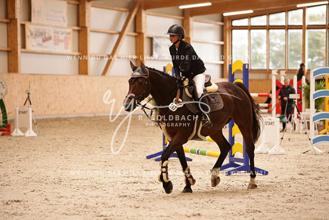 1J2A7334Fiby Sosna_ D_Amour du Foret Z_ Kn197_ Glantz_ Hohen Wieschendorf | Foto- und Videografie für alles rund ums Pferd. Hochwertige Bilder und Videos vom Spring- und Dressurreiten, Voltigieren & mehr. Jetzt aktuelle Veranstaltungen und Preise im Shop ansehen. - Realisiert mit Pictrs.com