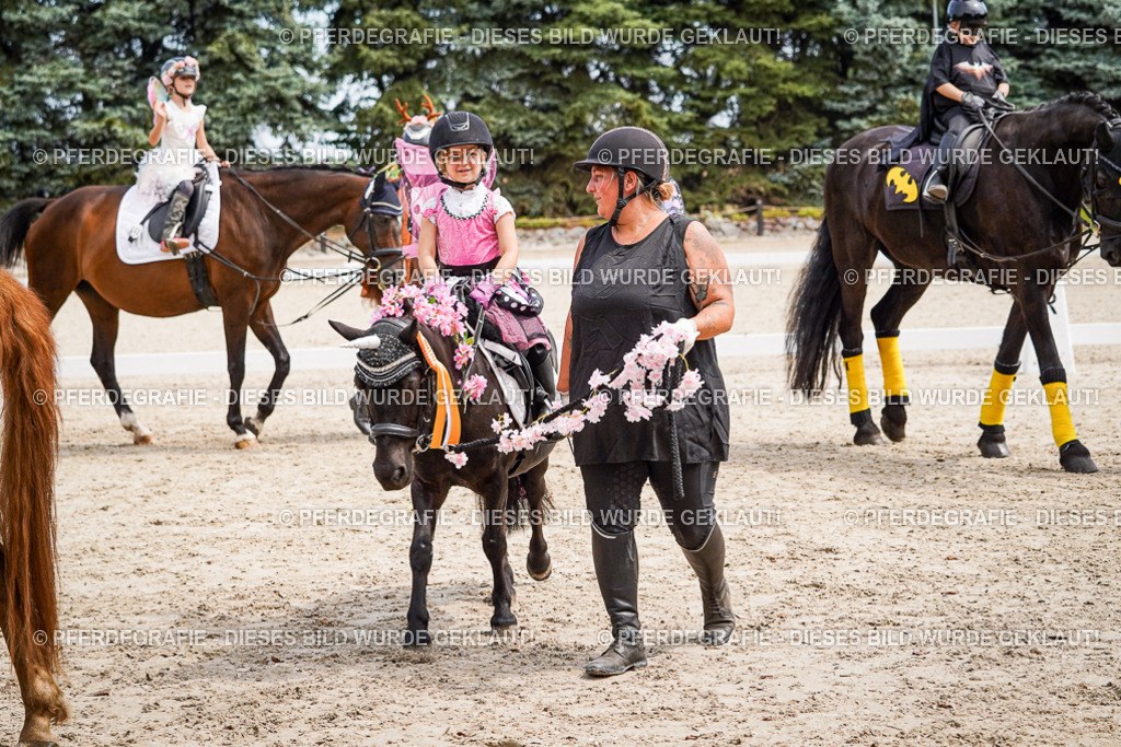 DSC03246 | Pferdegrafie