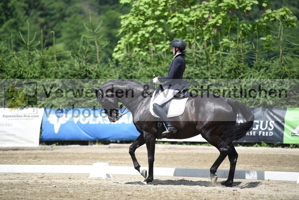 DSC_8990 | equestrian-live-com