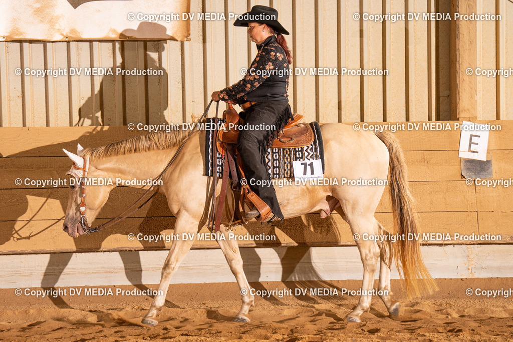 NID00211 | dv-media-shop - Realisiert mit Pictrs.com