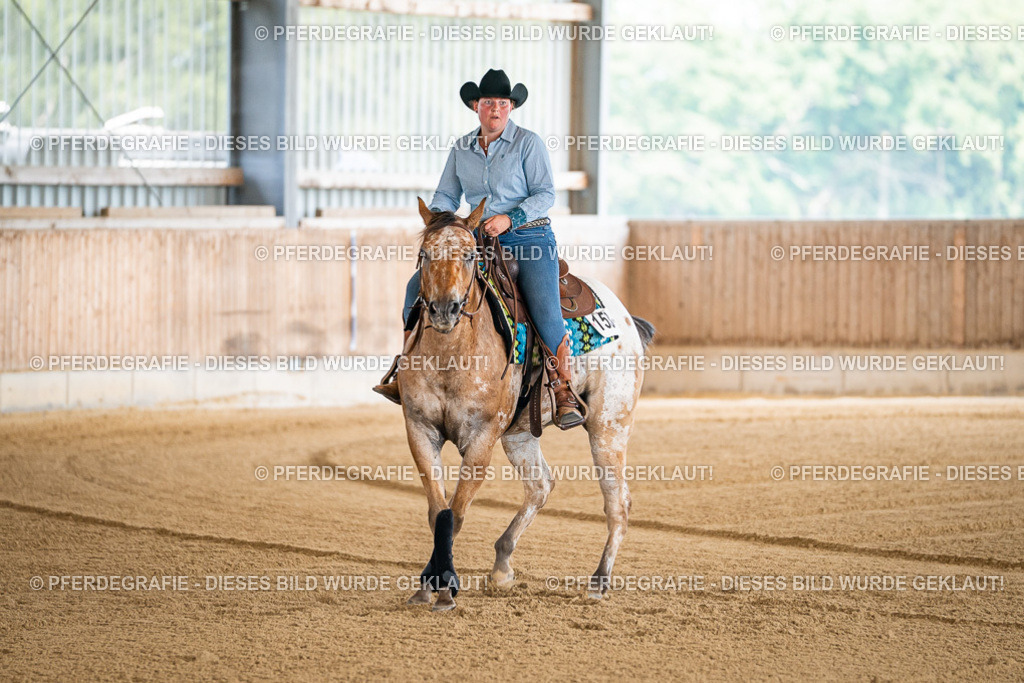 DSC03913 | Pferdegrafie