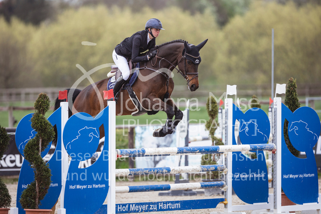 250417_Springpferde-L1-280 | Deine schönsten Turniermomente als professionelle Fotos! Entdecke hochwertige Pferdesport-Fotografie im Online-Shop. Jetzt Fotos finden & bestellen!