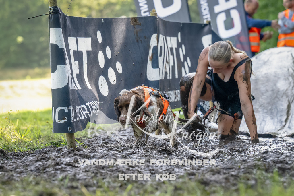 1113_ZZ93533-Bearbeitet | kk-dogfotos