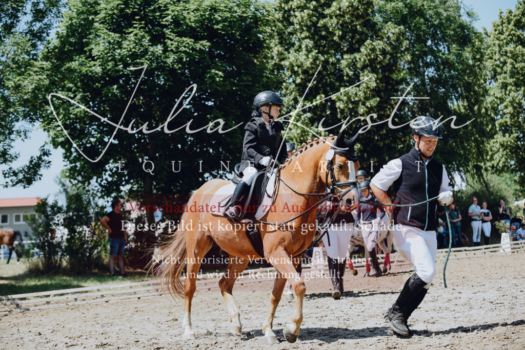 DSC_2480 | Pferde- und Turnierfotografie in Westsachsen. Pferdeportraits, Auftragszeichnungen und intuitive Kunst.