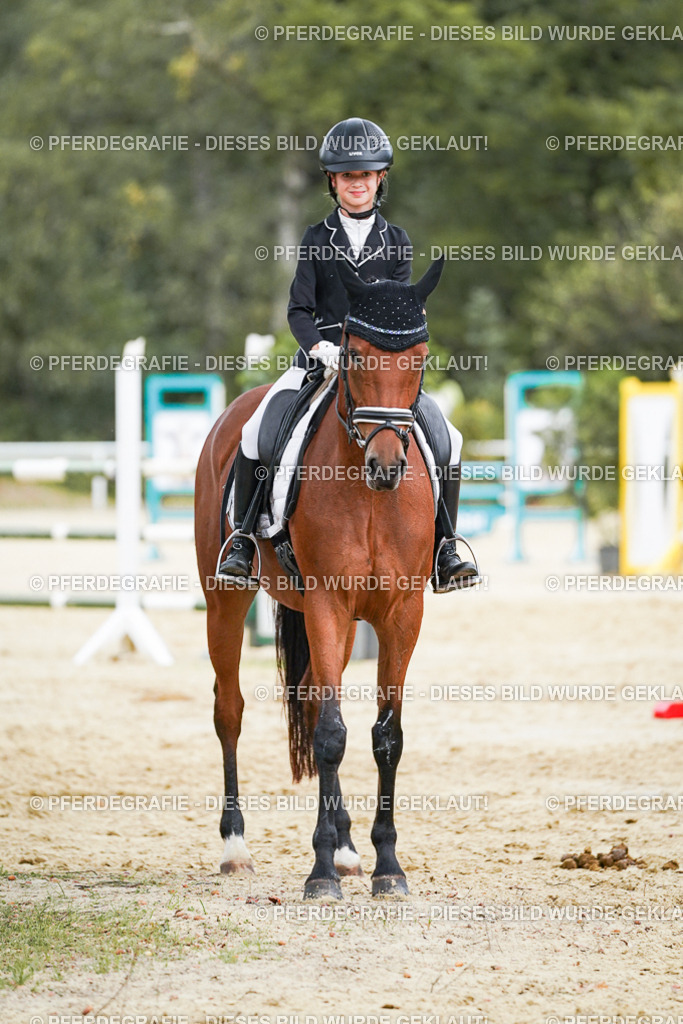 DSC06054 | Pferdegrafie