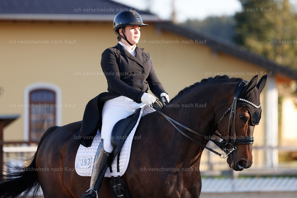 09_1-193-DRESSUR  S_  -StoibPH-5477 | working equitationturnier fotograf videograf stoibphotography marixx film working equitation deutschland reitsport turnierfotografie eventfotografie equestrian events