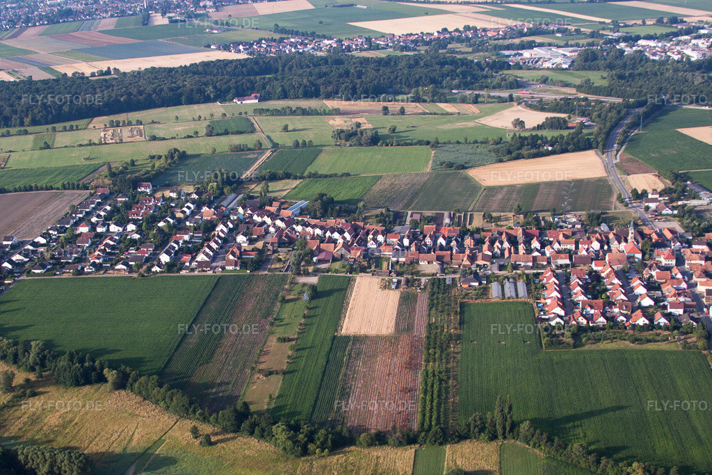 Luftbild: Ortsansicht von Norden in Erlenbach bei Kandel im Bundesland Rheinland-Pfalz in Deutschland. Foto: IMG_69756.jpg vom 04.07.2014 durch Werner Riehm/FLY-FOTO.de