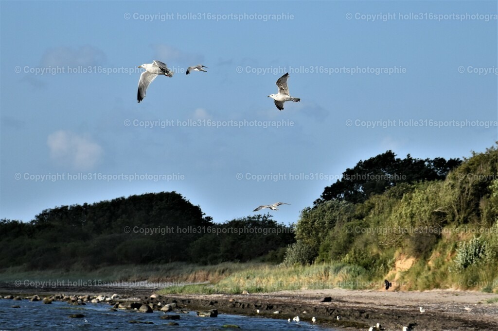 DSC_0046 (2) | Sportfotografie , Motorsport, Motoross, Reitsport, Mointainbike, Enduro,
Landschaft , Outdoor, Eventfotografie, Landschaft, Bilder online bestellen - Realisiert mit Pictrs.com
