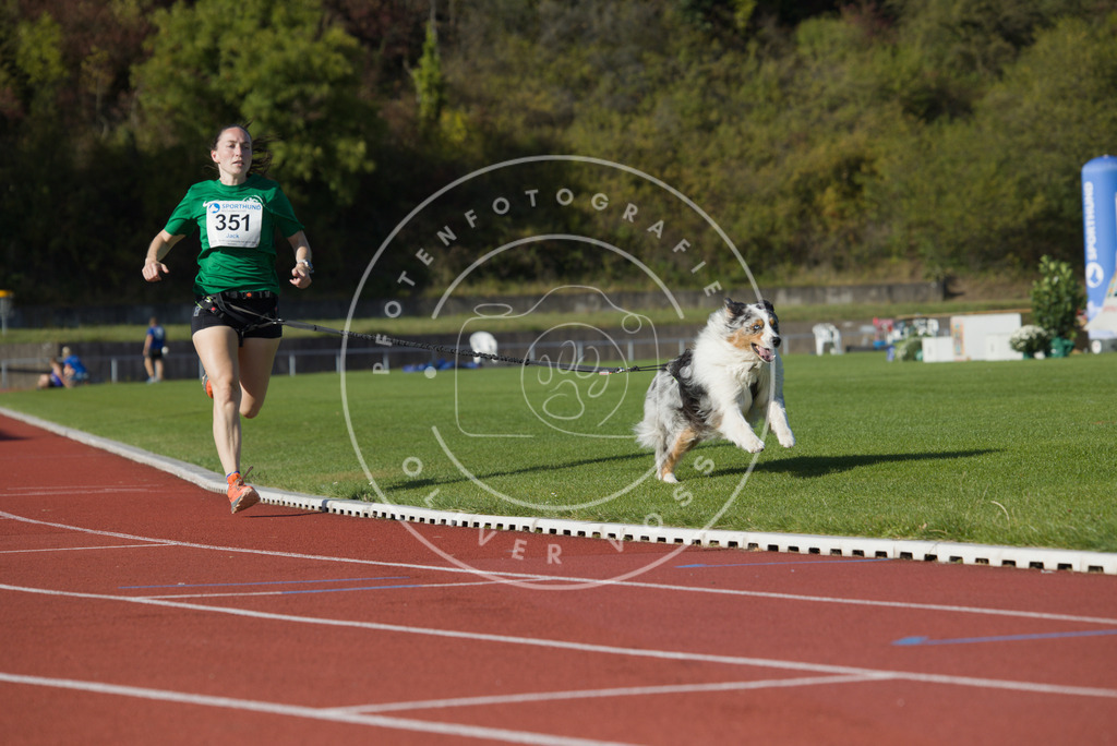 0L8A9706 | Hundefotografie, Tierfotograf, Pfotenfotografie, Fotoshooting Hund, Hunde Portrait, Hundesport, Hundeportraits, Heideshooting, Hunde, Sportfotograf, Hundefotograf, Turnierhundsport, THS,  - Realisiert mit Pictrs.com