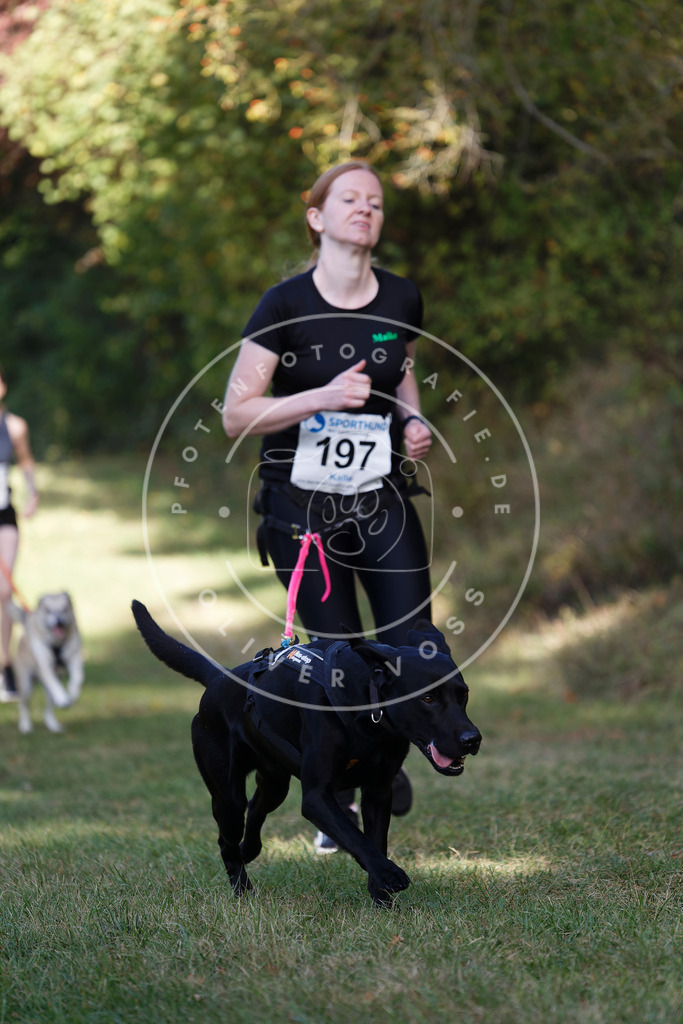 0L8A5655 | Hundefotografie, Tierfotograf, Pfotenfotografie, Fotoshooting Hund, Hunde Portrait, Hundesport, Hundeportraits, Heideshooting, Hunde, Sportfotograf, Hundefotograf, Turnierhundsport, THS,  - Realisiert mit Pictrs.com