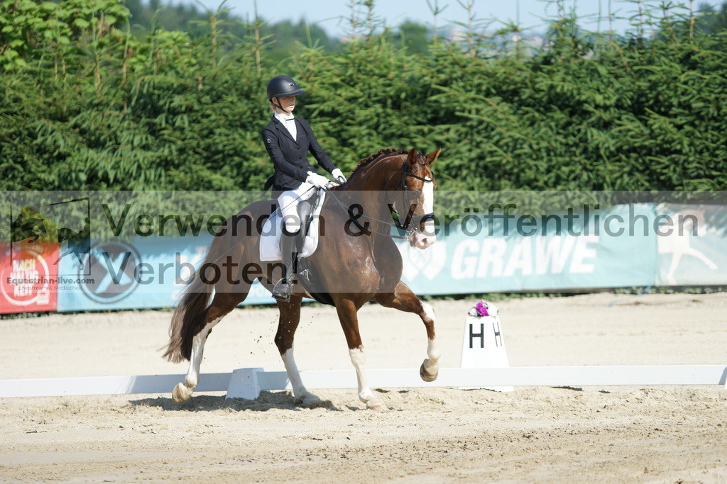 DSC02890 | equestrian-live-com