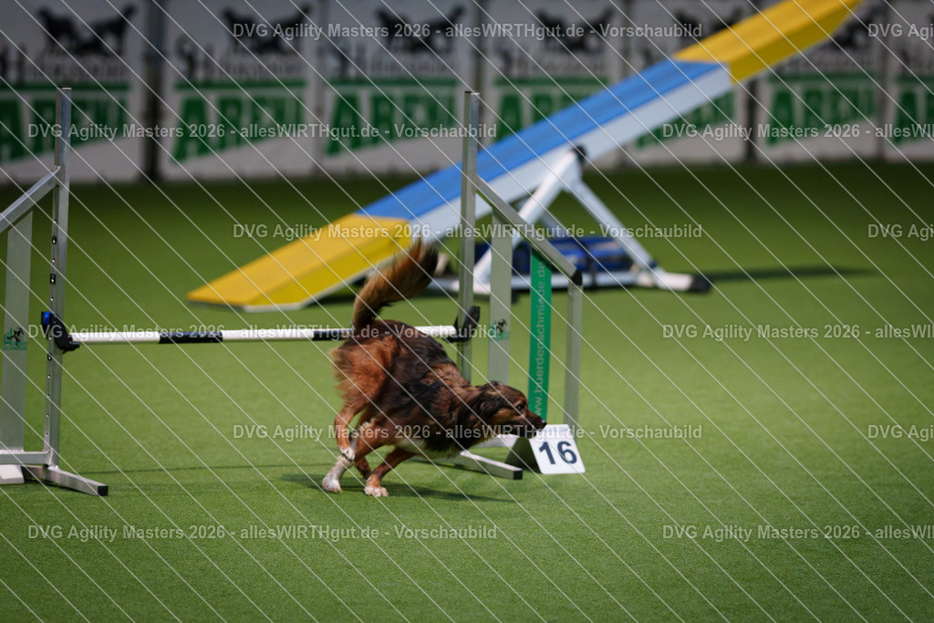 allesWIRTHgut_Tierfotografie-DVG_Agility_Masters_2026-16_52-7R504564 | Professionelle Tierfotografie in Mönchengladbach von Daniel Wirth (allesWIRTHgut). Liebevolle & natürliche Bilder von Hunden & Katzen für unvergessliche Erinnerungen.