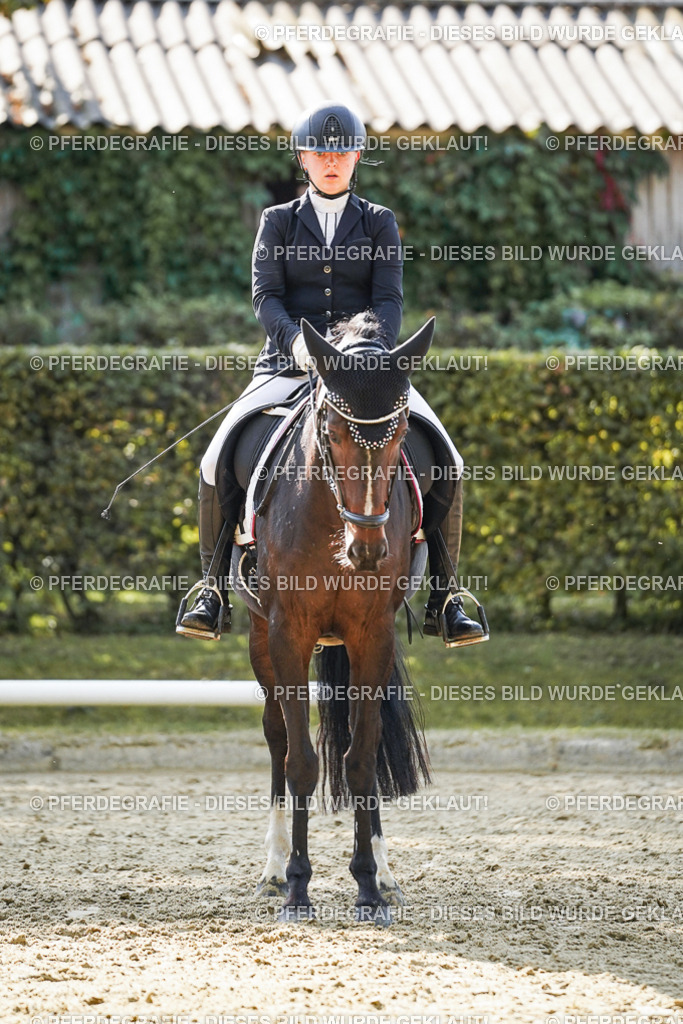 DSC07088 | Pferdegrafie