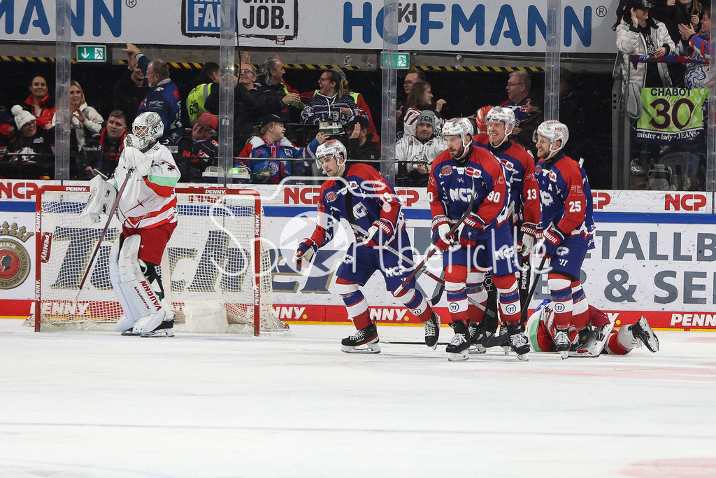 Nürnberg ICE Tigers - Augsburger Panther | Der Jubel nach dem Treffer zum 5-2 durch Tim FLEISCHER (EHC #19) / Tor / Torschuetze / Freude / DEL Retro GAme