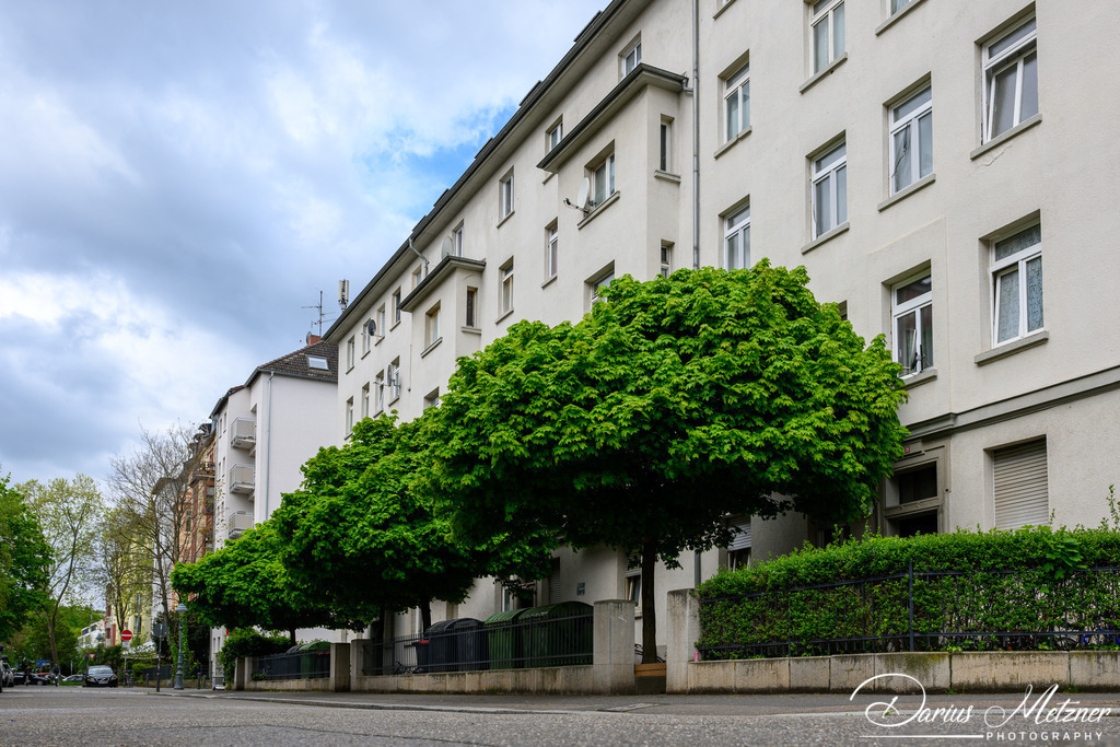 Mainzer Neustadt | Bilder aus der Mainzer Neustadt
