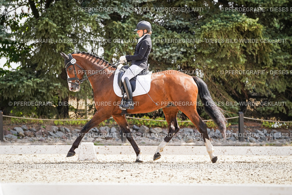 DSC08916 | Pferdegrafie