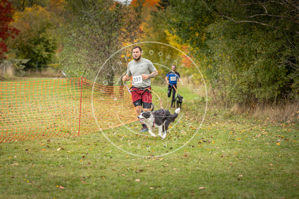 Pfotenfotografie_DV3A4322 | Hundefotografie, Tierfotograf, Pfotenfotografie, Fotoshooting Hund, Hunde Portrait, Hundesport, Hundeportraits, Heideshooting, Hunde, Sportfotograf, Hundefotograf, Turnierhundsport, THS,  - Realisiert mit Pictrs.com