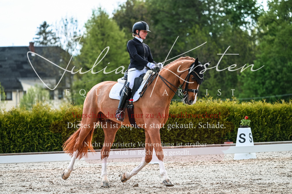 20230513_JK-Röhrsdorf-10-0744 | Pferde- und Turnierfotografie in Westsachsen. Pferdeportraits, Auftragszeichnungen und intuitive Kunst.