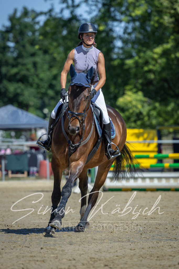 20260704-_3LI7487 | Tierfotografie Pferde, Hunde, Katzen, Haustiere.
Turnierfotografie Reitturniere, Reiten, Springreiten, Dressur in Hanau, dem Main-Kinzig-Kreis und dem Rhein-Main- Gebiet um Frankfurt
