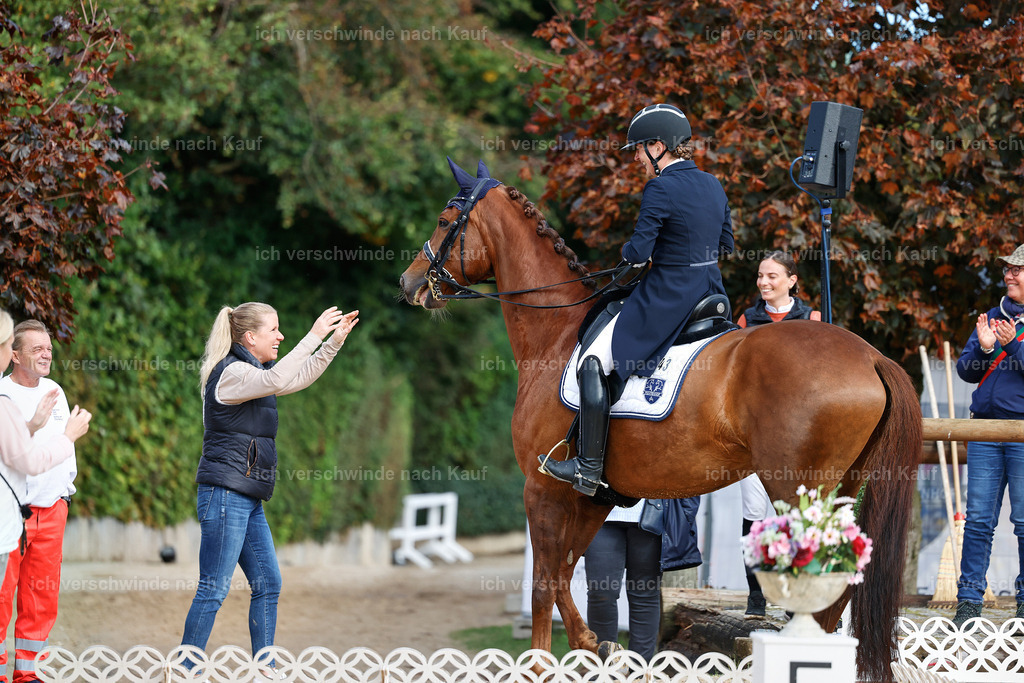 6-143-AMATUER-DRESSUR S_  -StoibPH-3443 | working equitationturnier fotograf videograf stoibphotography marixx film working equitation deutschland reitsport turnierfotografie eventfotografie equestrian events
