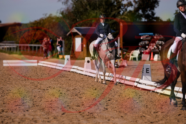 2026_10_03_Siefer-Hof_122837_Z81_27544895 | Professionelle Reitsport-, Turnier- und Eventfotografie von Robert Broda. Galerien mit ausgewählten und bearbeiteten Bildern direkt online ansehen und bestellen.