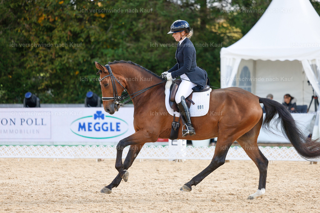 09_2-001-DRESSUR  S_  -StoibPH-5815 | working equitationturnier fotograf videograf stoibphotography marixx film working equitation deutschland reitsport turnierfotografie eventfotografie equestrian events