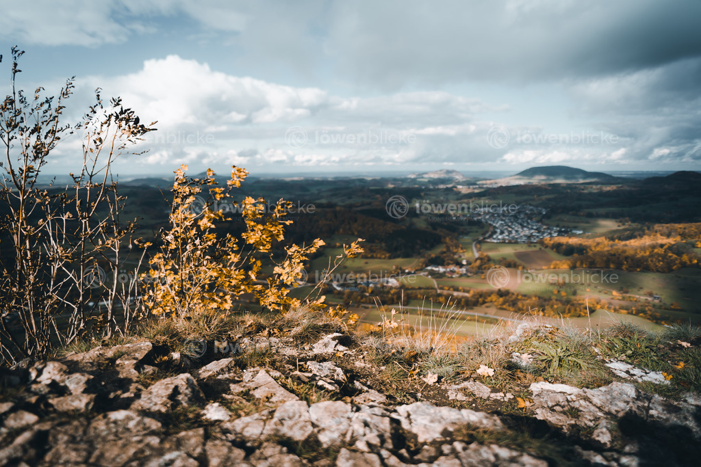 Maibachtal im Herbst mit Blick vom Messelstein | löwenblicke | shop
