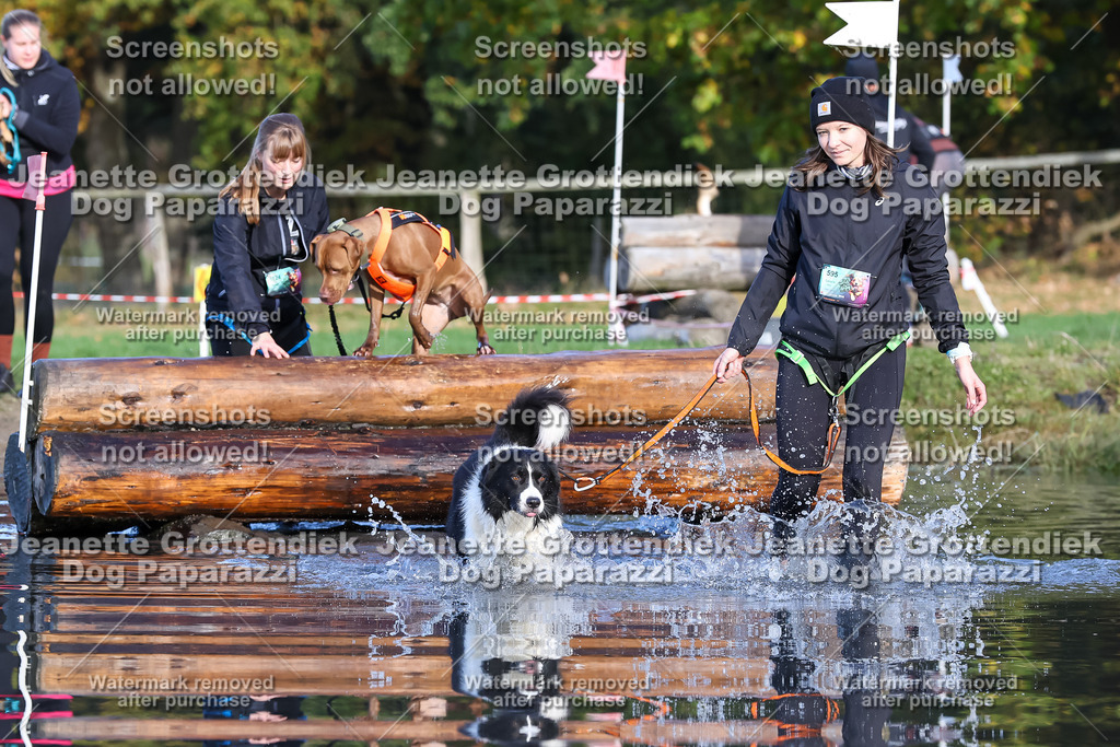 Dog Paparazzi - Strongdog 10-25-8545 | Dog Paparazzi Jeanette Grottendiek Fotografie & Videografie - Realisiert mit Pictrs.com