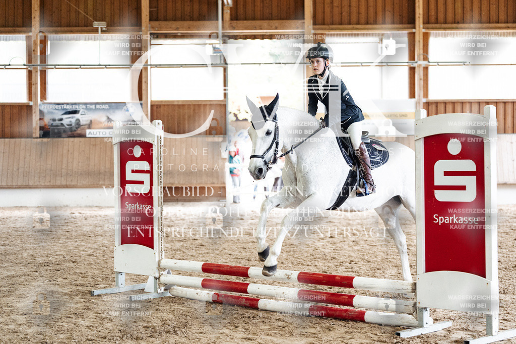 CK902693 | Turnierfotografie Pferdefotografie Trier Rheinland-Pfalz Pferdesport Reitsport Tierfotografie Sportfotografie Pferdevideo Pferdevideografie Equestrianvideography equestrianphotography  - Realisiert mit Pictrs.com