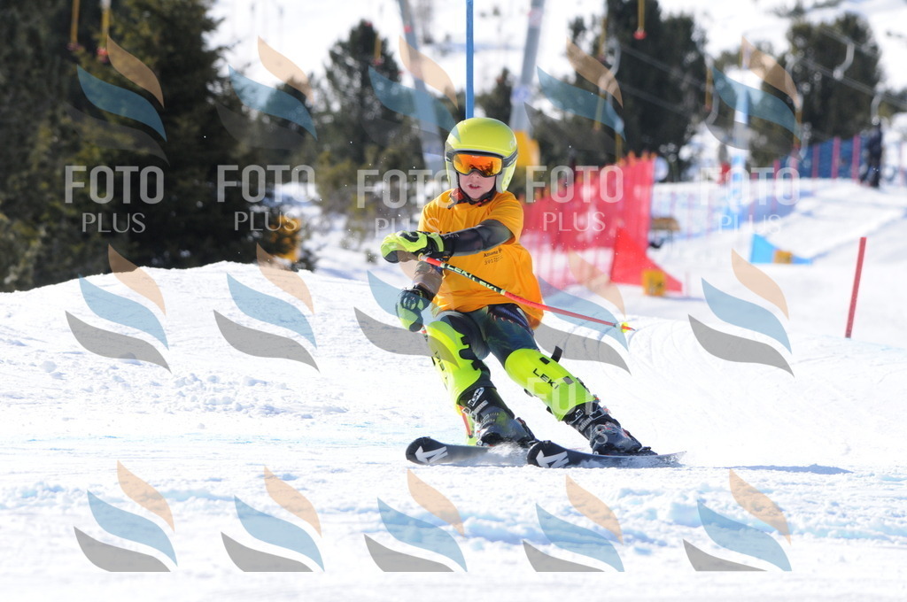 C7221 | holidayphoto