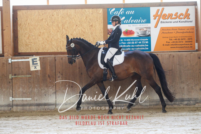 DKP45483 | Turniersportfotografie; Pferdefotografie; Dressurfotografie