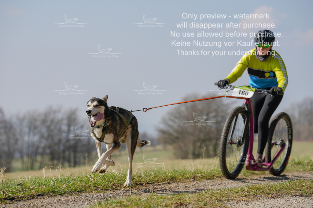 Scooter_Lang-128 | stephaniefillaphotographie - Realisiert mit Pictrs.com