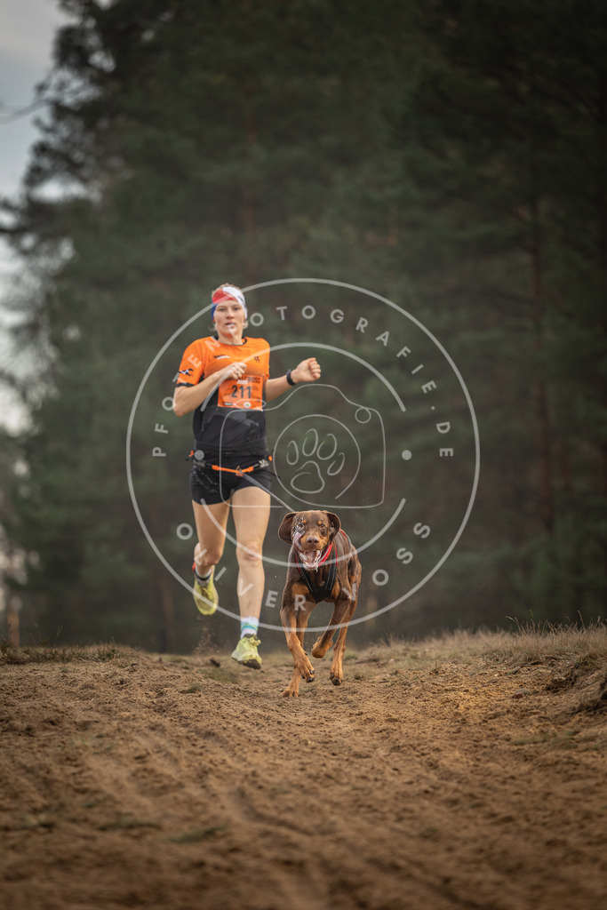 Pfotenfotografie_DV3A5169 | Hundefotografie, Tierfotograf, Pfotenfotografie, Fotoshooting Hund, Hunde Portrait, Hundesport, Hundeportraits, Heideshooting, Hunde, Sportfotograf, Hundefotograf, Turnierhundsport, THS,  - Realisiert mit Pictrs.com