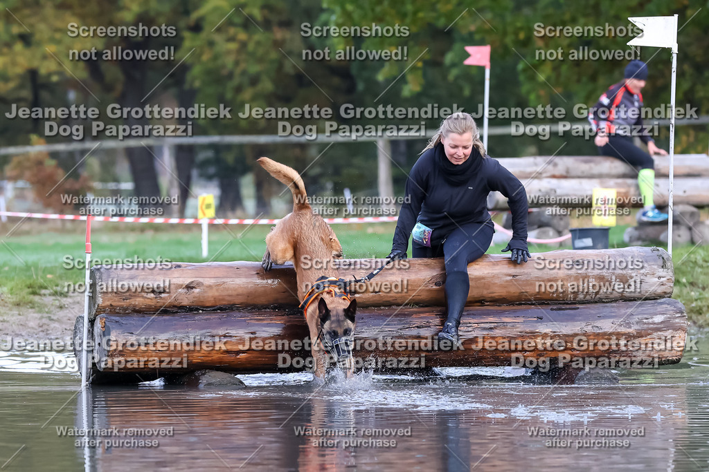 Dog Paparazzi - Strongdog 10-25-6496 | Dog Paparazzi Jeanette Grottendiek Fotografie & Videografie - Realisiert mit Pictrs.com