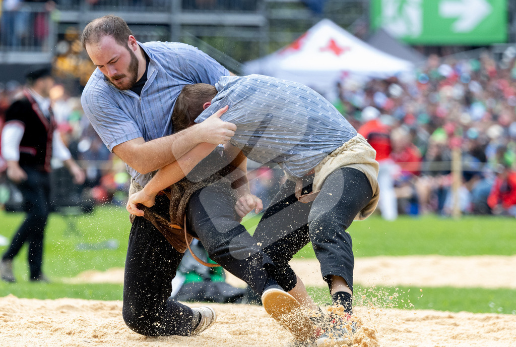 ESAF2025_03Gang_4971 | Die Schwinger des Schwyzer Kantonalen Schwingerverbandes: Fotos, die Dynamik und Leidenschaft festhalten, sowie emotionale Momente aus dem traditionellen Schwingsport zeigen. - Realisiert mit Pictrs.com